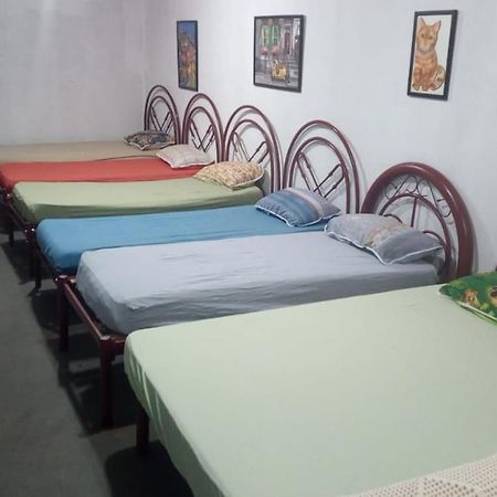 Hostel Santuario De Protecao Animal Filhos De Salomao Braganca Paulista Ngoại thất bức ảnh