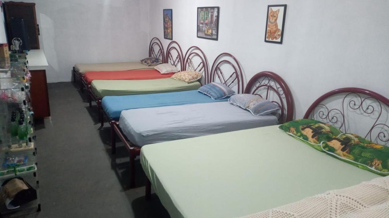 Hostel Santuario De Protecao Animal Filhos De Salomao Braganca Paulista Ngoại thất bức ảnh