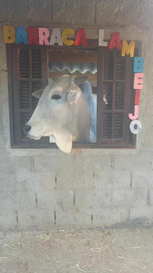 Hostel Santuario De Protecao Animal Filhos De Salomao Braganca Paulista Ngoại thất bức ảnh